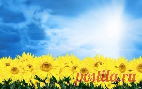 Легка промисловість україни - презентации Станислава Молчанова multistas