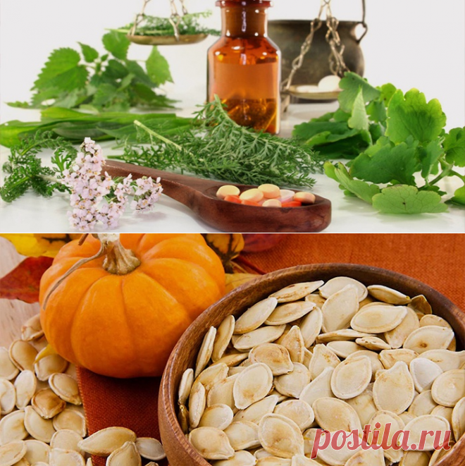 Как лечить глистов у взрослых и детей народными средствами