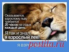 картинки позитива для поднятия настроения: 17 тыс изображений найдено в Яндекс.Картинках