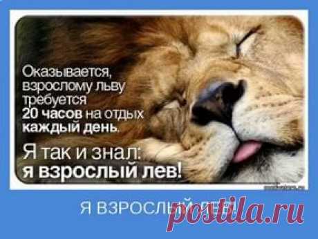 картинки позитива для поднятия настроения: 17 тыс изображений найдено в Яндекс.Картинках