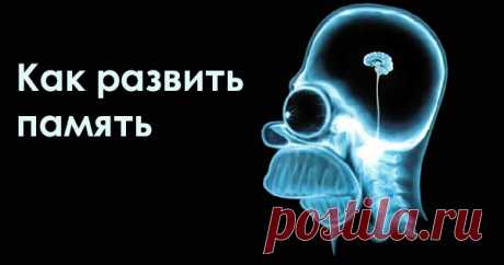 Советы, как развить память