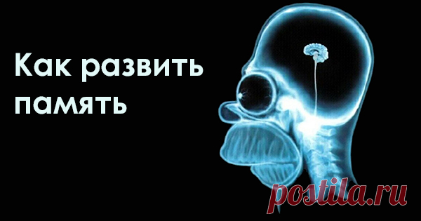 Советы, как развить память