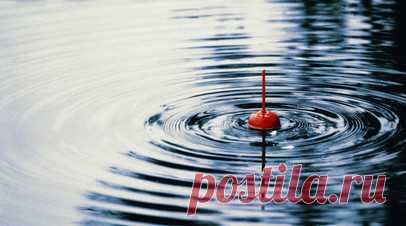 В Нижегородской области восьмилетняя девочка нашла кости мамонта. Восьмилетняя девочка нашла кости мамонта и древнего бизона во время рыбалки в районе населённого пункта Новинки в Нижегородской области. Читать далее