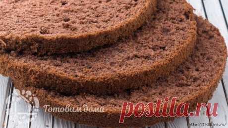 Шоколадный бисквит