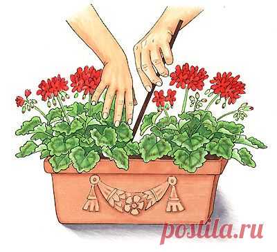 Helga Meyer, Illustration zum Thema Garten
