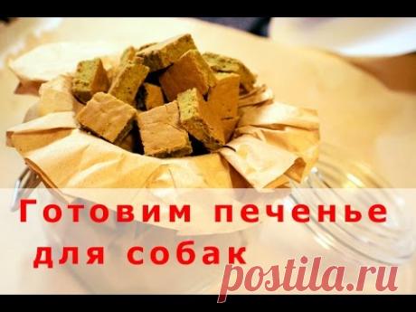 Рецепт очень вкусного печенья для собак - YouTube