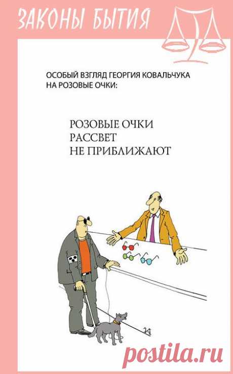 Иллюстрированные афоризмы «Законы бытия»