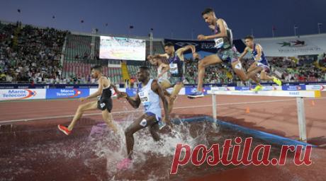 Экоактивисты с баннерами вышли на беговую дорожку во время этапа Бриллиантовой лиги. Протестующие экоактивисты с баннерами вышли на беговую дорожку во время забега на 400 м с барьерами среди мужчин на седьмом этапе Бриллиантовой лиги в Стокгольме (Швеция). Читать далее