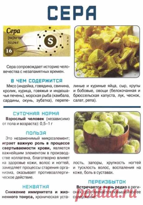 Сера в организме человека