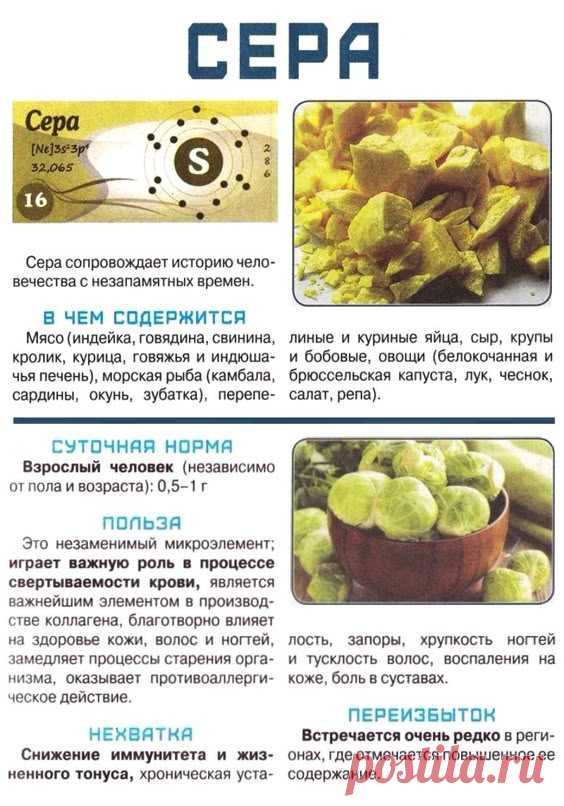 Сера в организме человека