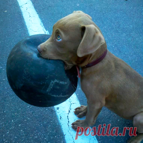 Ну как с ним не поиграть?