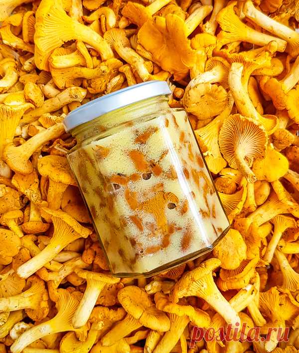 Лисички конфи на зиму на Вкусном Блоге Похоже, у меня новый фаворит среди вариантов заготовки лисичек на зиму 🤩 Лисички конфи – томленые в сливочном масле. Это невероятно вкусно! И очень удобно: открыл зимой банку, кинул на сковородку и чуть прогрел. А дико ароматное масло – в картошечку. Вчера переработала так 4 кг грибов и, похоже, надо делать еще…