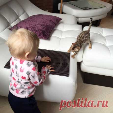 Фото Дом 2 из инстаграм