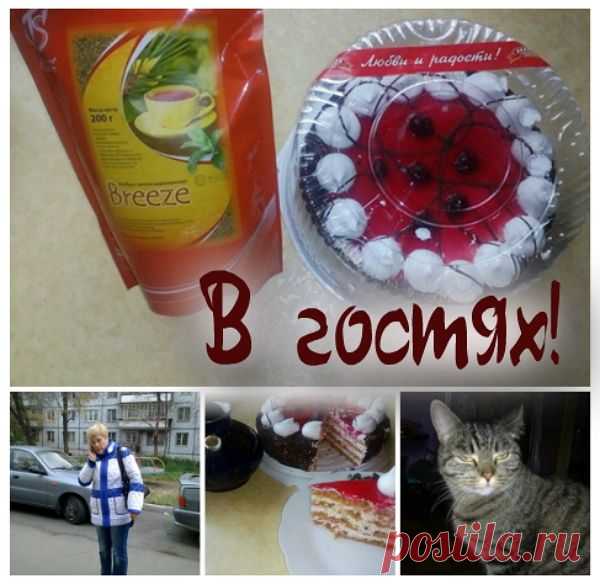 Вот такой чай РОЙБУШ с марокканской мятой мы вчера пили в гостях у младшего внука. Конечно предварительно позвонили и спросили....что купить к чаю ❤ хорошие гости всегда ходят с подарками  ❤ купили чудесный торт с вишней.
Внуки фотографироваться отказались, а вот кошка Люся с удовольствием позировала ❤
Чай очень хорош вот именно для вечернего чаепития. Чай пили, шутили, рассказывали смешные истории.