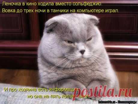 Управдом )))