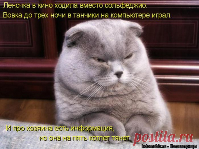 Управдом )))