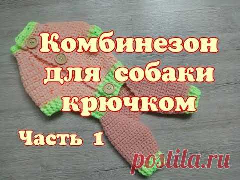 Комбинезон для собаки крючком, часть 1,DIY clothing for dogs and cats