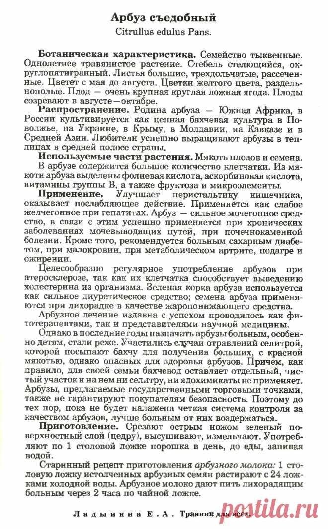 Арбуз съедобный