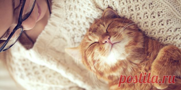 10 советов, как жить с радостью