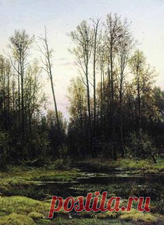 Великолепно! и другие материалы. Новое в Вашей подборке на Постиле - plitakova@gmail.com - Gmail