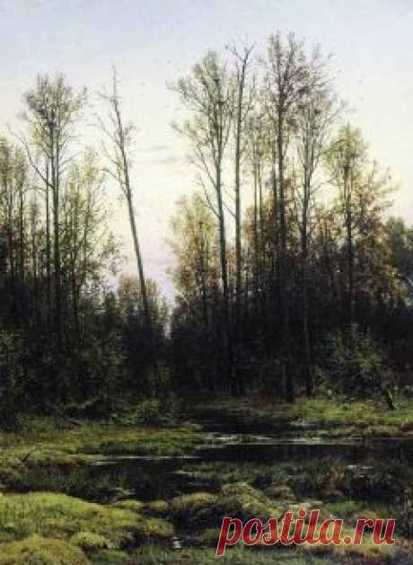 Великолепно! и другие материалы. Новое в Вашей подборке на Постиле - plitakova@gmail.com - Gmail