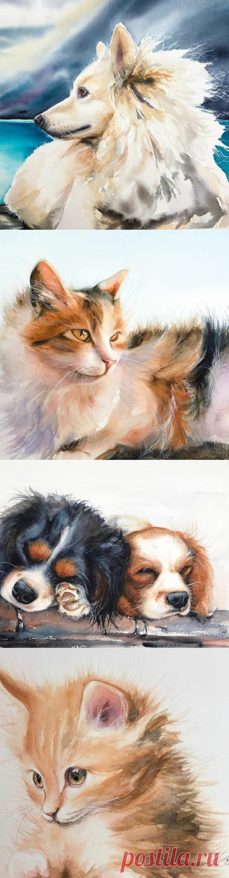 Художница Maria Raczynska и ее верные друзья