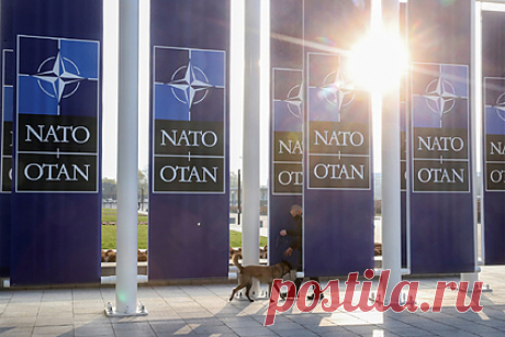 В НАТО заявили об открытости к диалогу с Россией. Представитель Оана Лунгеску заявила, что альянс открыт для диалога с Россией после закрытия миссий, в том числе через Совет Россия-НАТО. Мы усилили наше сдерживание и оборону в ответ на агрессивные действия России. В то же время мы остаемся открытыми для диалога, в том числе через Совет Россия-НАТО», — сказала она.