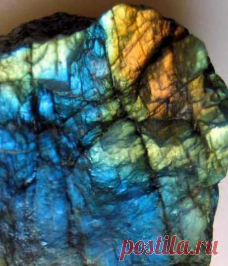 Ника Семёновна