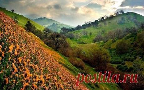 ШНУРОК,ИСПОЛНЯЮЩИЙ ЖЕЛАНИЯ(СИМОРОНСКИЙ РИТУАЛ)