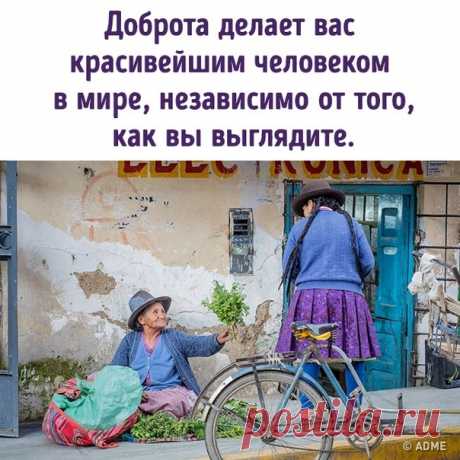 10 историй, которые доказывают, что мир спасет именно доброта: bit.ly/2DAuX8A