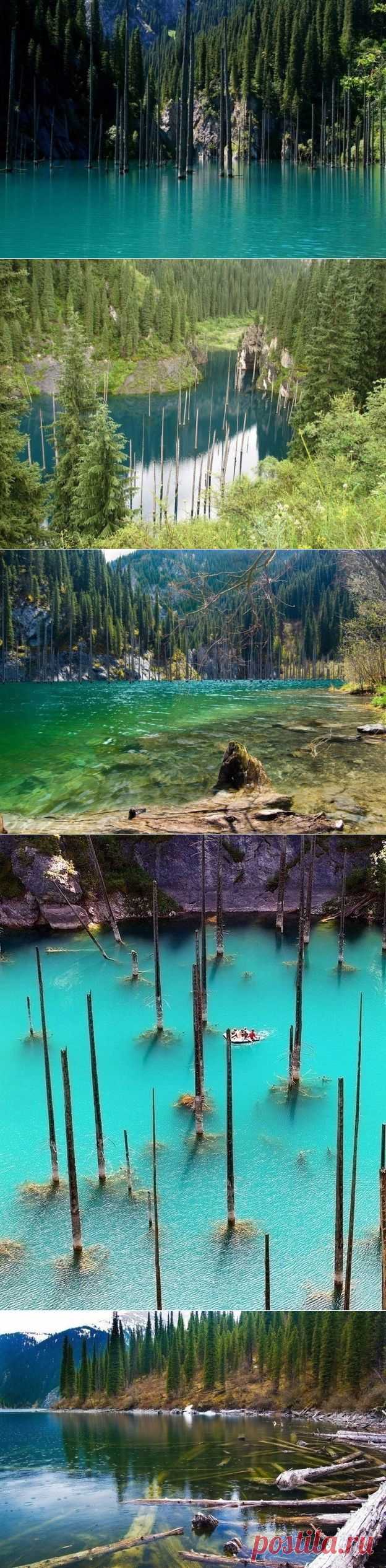 Озеро Каинды - затонувший лес в Казахстане - Путешествуем вместе