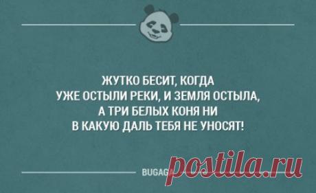 Фото-приколы и картинки (32 шт)