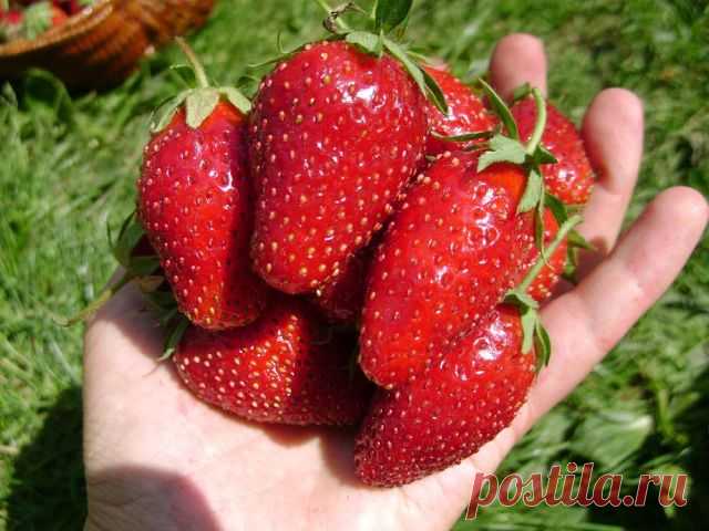 1 непрочитанный чат