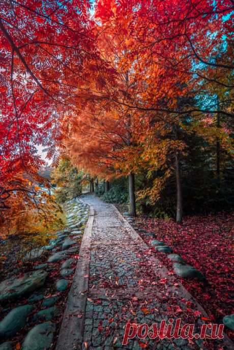 Chaos unleashed - j-k-i-ng: “WonderFall“ by | Ilkin Karacan Karakuş