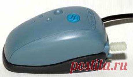 Микрокомпрессор - В мире животных - Сборник - Познавательный Интернет-журнал &quot;Умеха - мир самоделок&quot;