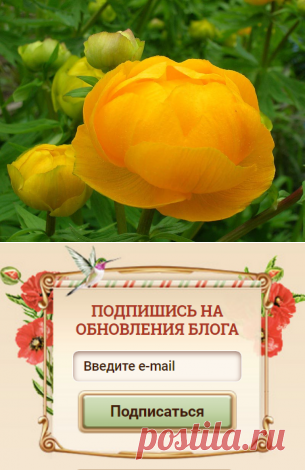 Изучаем особенности строения цветов и наслаждаемся совершенной красотой природы! Макросъемка позволит любителям шелковой флористики более тщательно изучить все детали цветка, и воплотить их в материале наиболее приближенно к природе!​​​​​​​