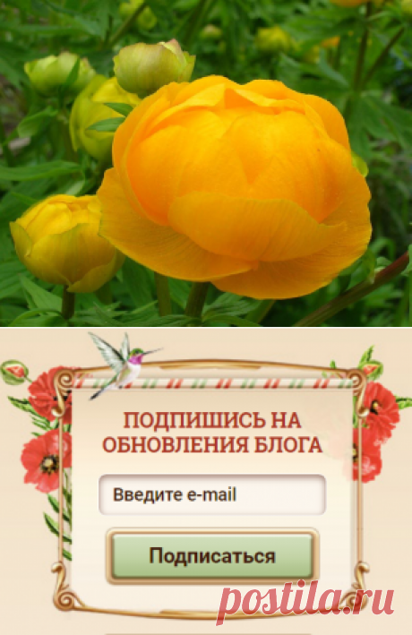 Изучаем особенности строения цветов и наслаждаемся совершенной красотой природы! Макросъемка позволит любителям шелковой флористики более тщательно изучить все детали цветка, и воплотить их в материале наиболее приближенно к природе!​​​​​​​