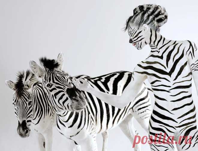 Человек и животные