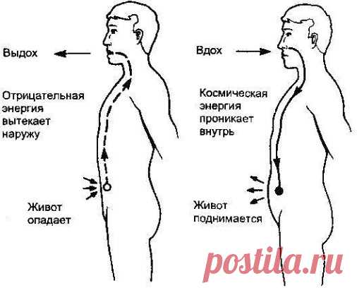 Дыхательная гимнастика для уменьшения живота
Делать дыхательную гимнастику нужно по 15 минут утром, натощак.
Упражнения
Вдох - живот округляем.
Выдох - живот втягиваем.
Во время выдоха помогаем ладонью и стараемся напрячь пресс, так 10 минут.
Затем вдох - живот округляем, на выдохе наклоняемся и пытаемся максимально сделать выдох, втягиваем живот, затаили дыхание, распрямились и считаем до 8-ми, периодически напрягая пресс, потом снова вдох. Так 3 минуты.
Методика основана на том, что при вы