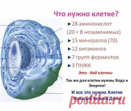 КОГДА ВЫ СМОТРИТЕ В ЗЕРКАЛО
Когда вы смотрите в зеркало, то всегда видите свой внешний облик: лицо,...
Читай пост далее на сайте. Жми ⏫ссылку выше