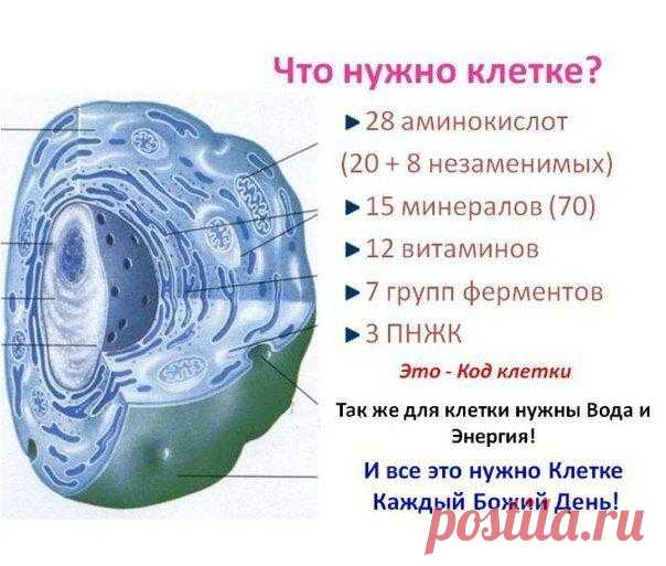 КОГДА ВЫ СМОТРИТЕ В ЗЕРКАЛО
Когда вы смотрите в зеркало, то всегда видите свой внешний облик: лицо,...
Читай пост далее на сайте. Жми ⏫ссылку выше
