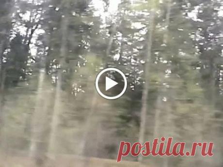 Оповещения Google+