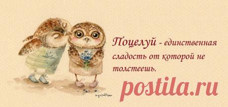 слова