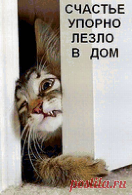 Предпросмотр - Схема вышивки «киса» - Схемы вышивки - Guntown - Авторы - Портал «Вышивка крестом»