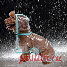 Waterproof Raincoat For Dogs!