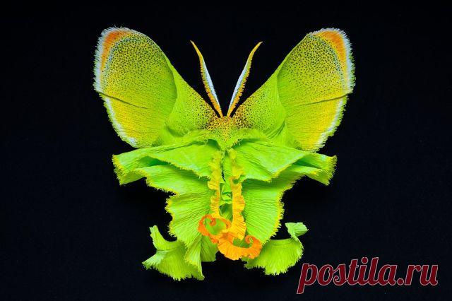 Рукотворные бабочки из природных материалов