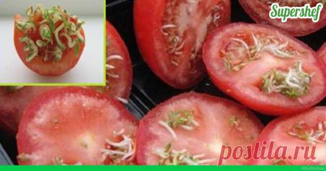 Без ГМО! Отличай натуральные продукты от модифицированных за две секунды. ...