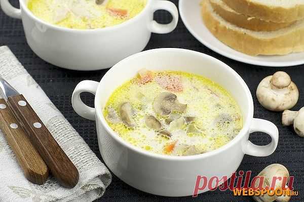 Куриный суп с грибами и сливками | Рецепт куриного супа с фото | Суп с грибами и сливками | Суп с сельдереем на Webspoon.ru