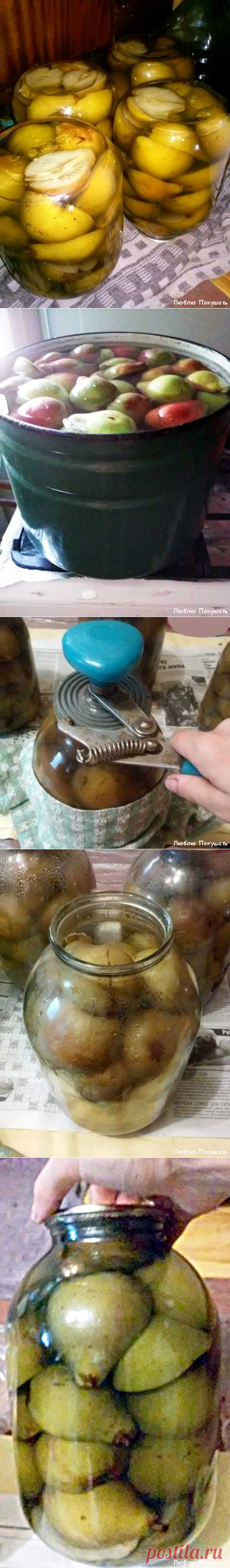 Груши на зиму - пошаговый рецепт приготовления данного блюда с фото и видео вы можете найти на кулинарном сайте Люблю Покушать LoveToEat.ru
http://www.lovetoeat.ru/grushi-na-zimu/
Больше информации тут:
Сайт Люблю Покушать: http://www.lovetoeat.ru/
Вконтакте: http://vk.com/lovetoeatru
Facebook: http://www.facebook.com/lovetoeatru
Видео канал на YouTube:
https://www.youtube.com/channel/UCef_SfuTUc_LkfGJHhZQReg
#lovetoeat #lovetoeatru #люблюпокушать #сайтлюблюпокушать #блоглюблюпокушать #е