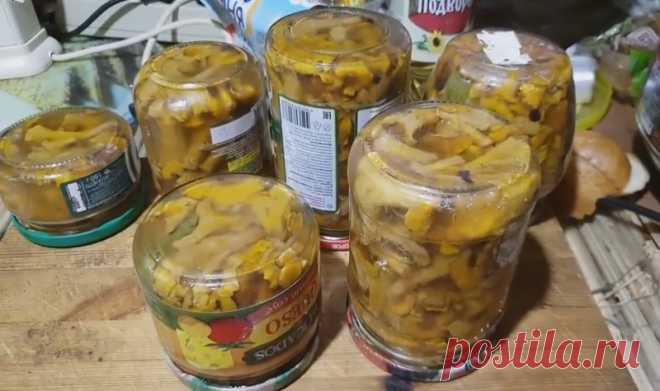 Хрустящие маринованные лисички на зиму: 5 простых рецептов приготовления